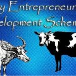 Dairy Entrepreneurship Development Scheme