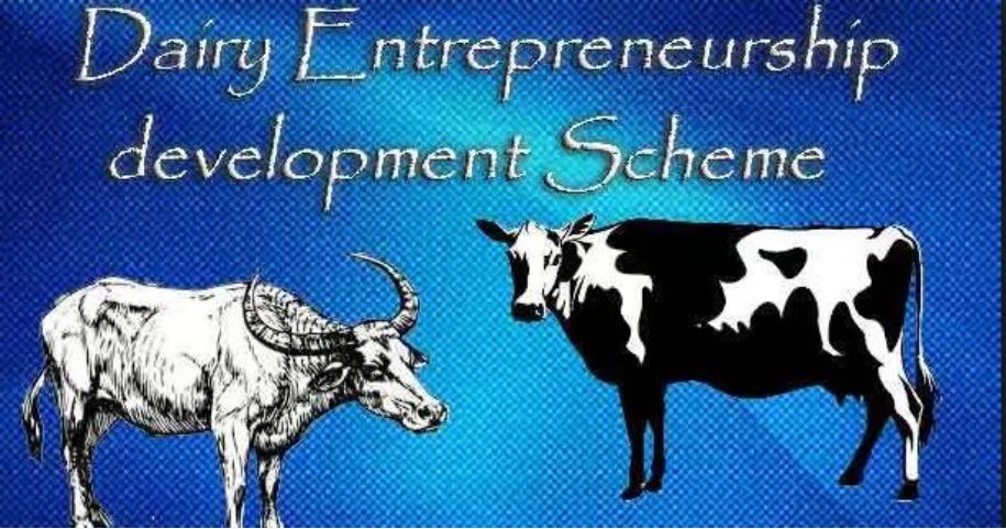 Dairy Entrepreneurship Development Scheme