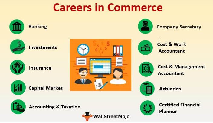 Career options in Commerce